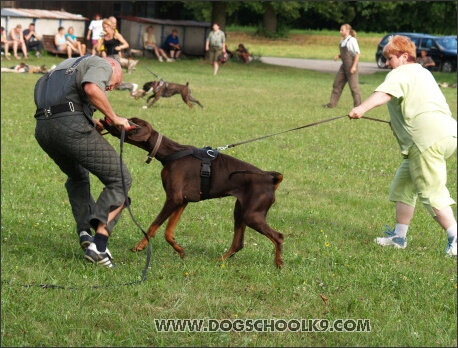 Training camp - Lukova 2007